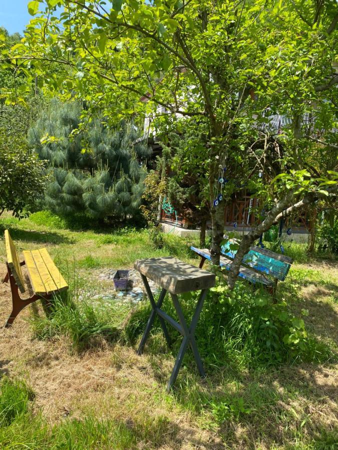 Doga Villa Yomra Εξωτερικό φωτογραφία